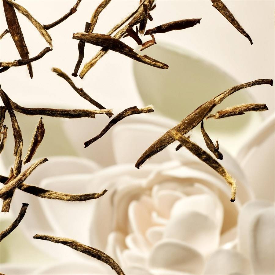 RITUALS The Ritual Of Karma Osterangebot