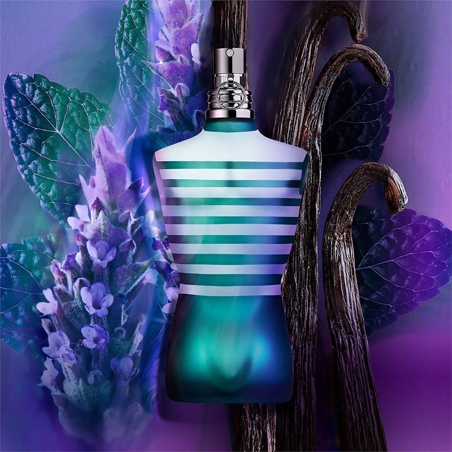 Jean-Paul-Gaultier Le Male Meist gekauft