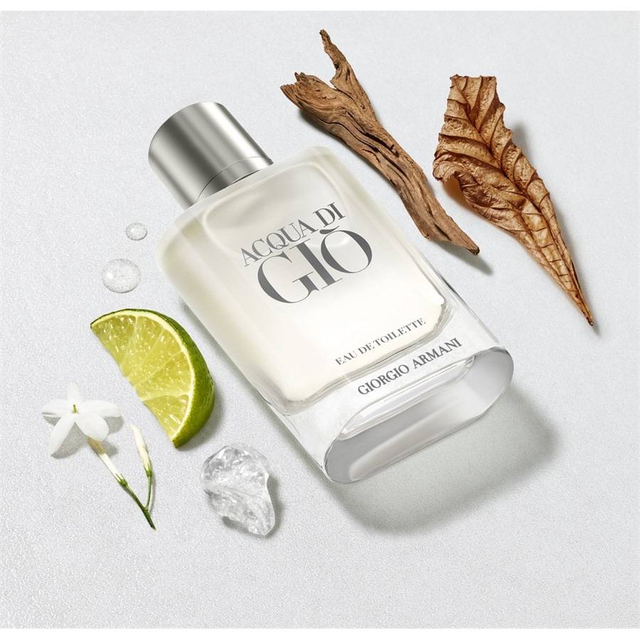 Armani Acqua di Giò Homme Preisnachlass
