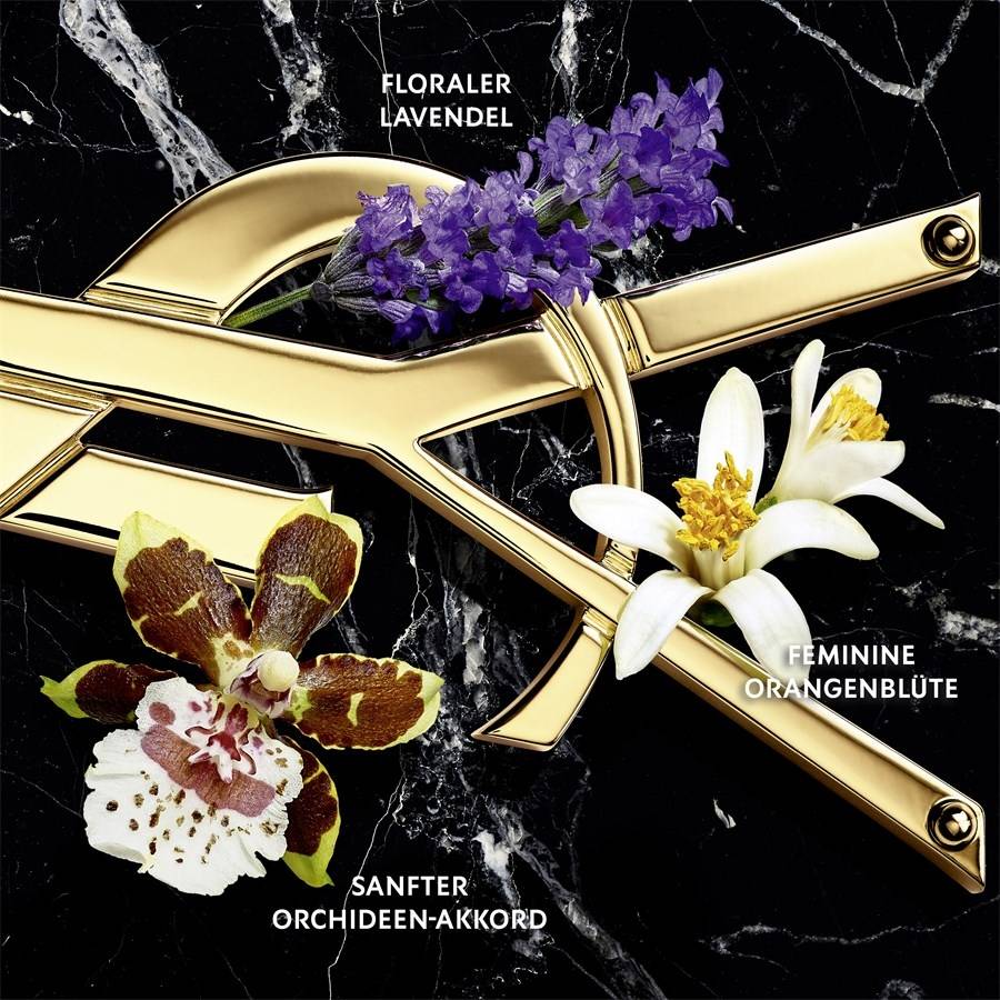 Yves-Saint-Laurent Libre Online Shopping
