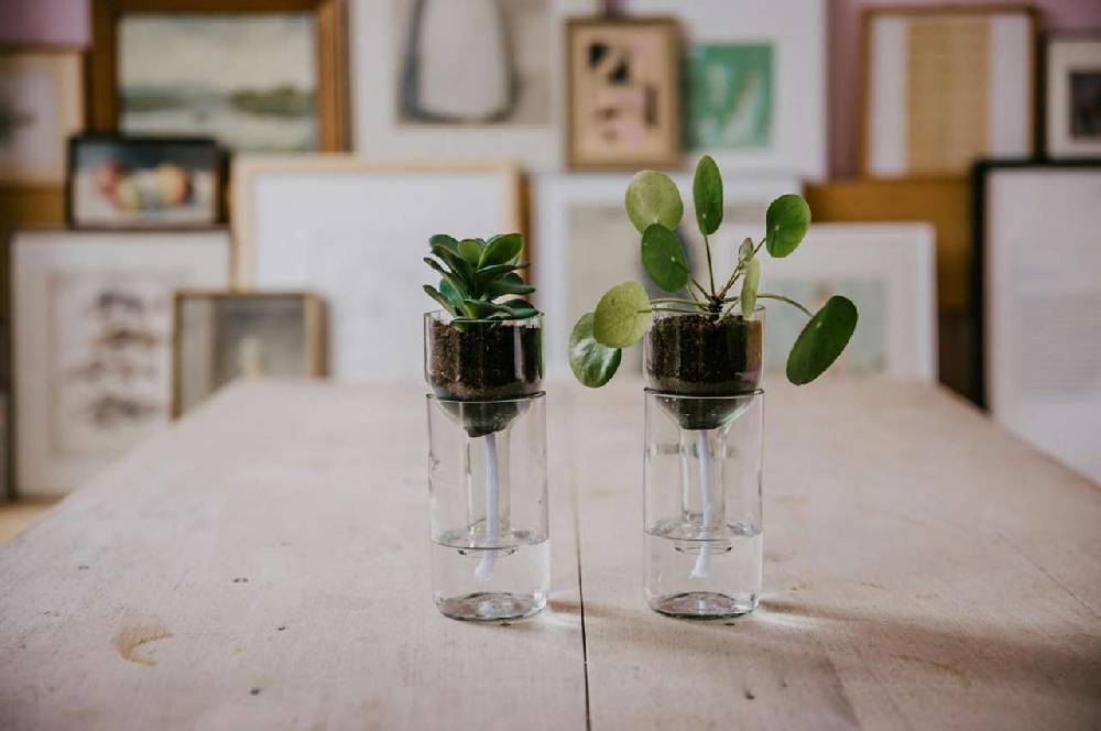 side-by-side Side by Side flower pot self watering Angebote