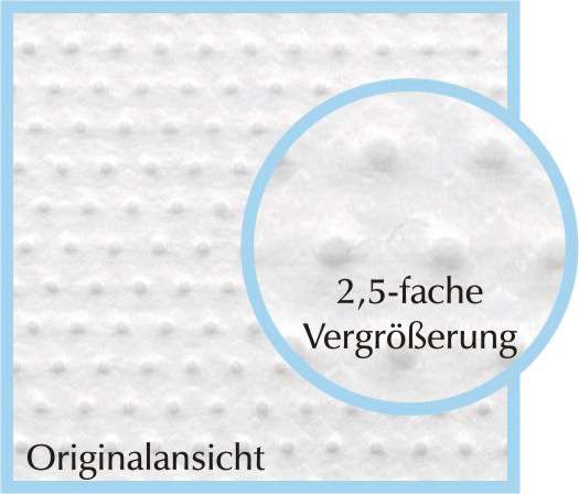 pulmanova Anti-allergic Bedding Set Begrenzte Freigabe