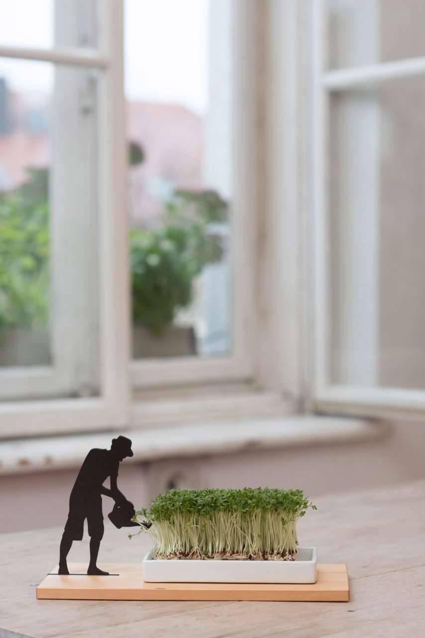 side-by-side Cress Dish "Smart & Green" Bis zu 55% Rabatt