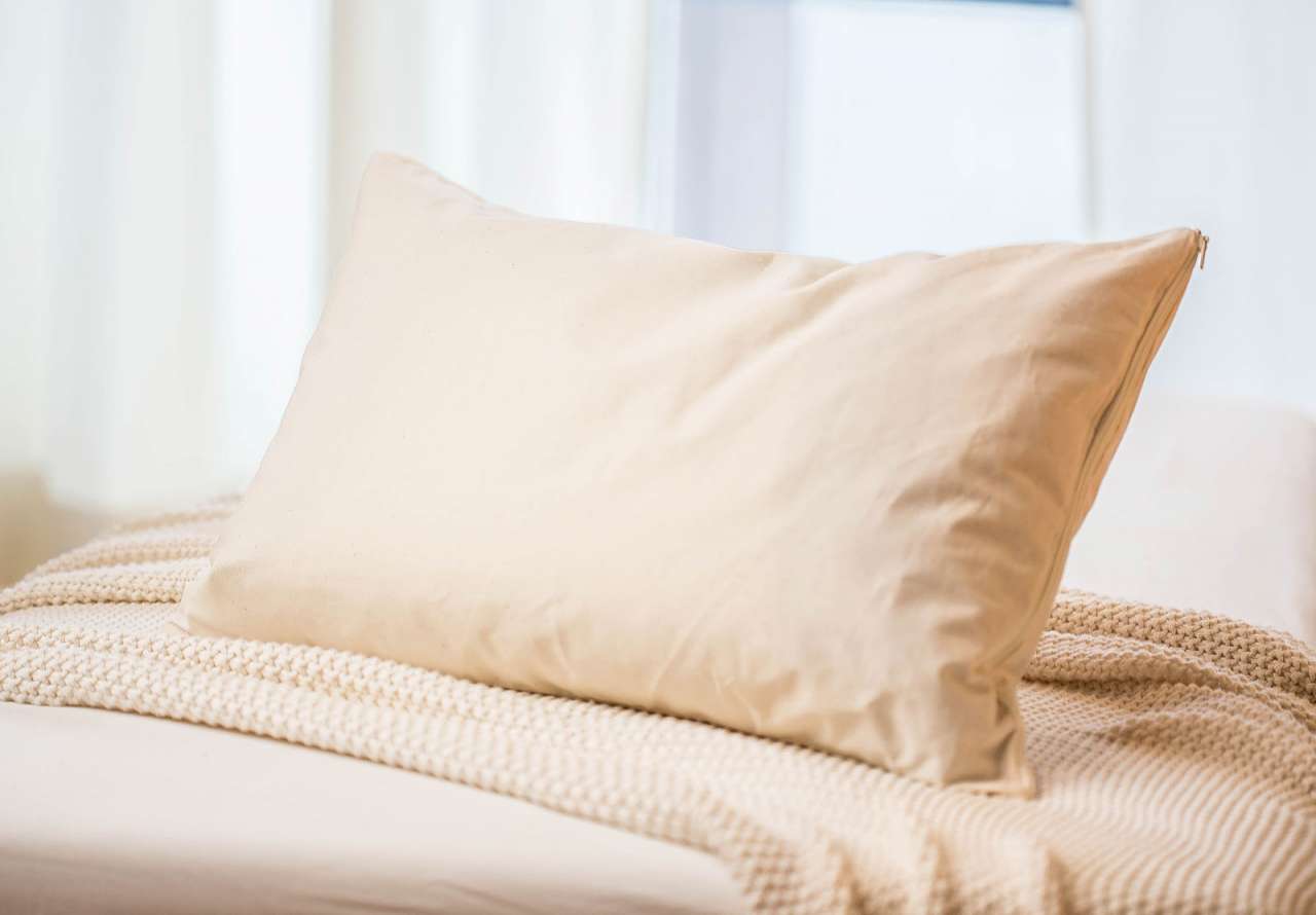 purenature Millet Pillow (certified organic) Im Verkauf