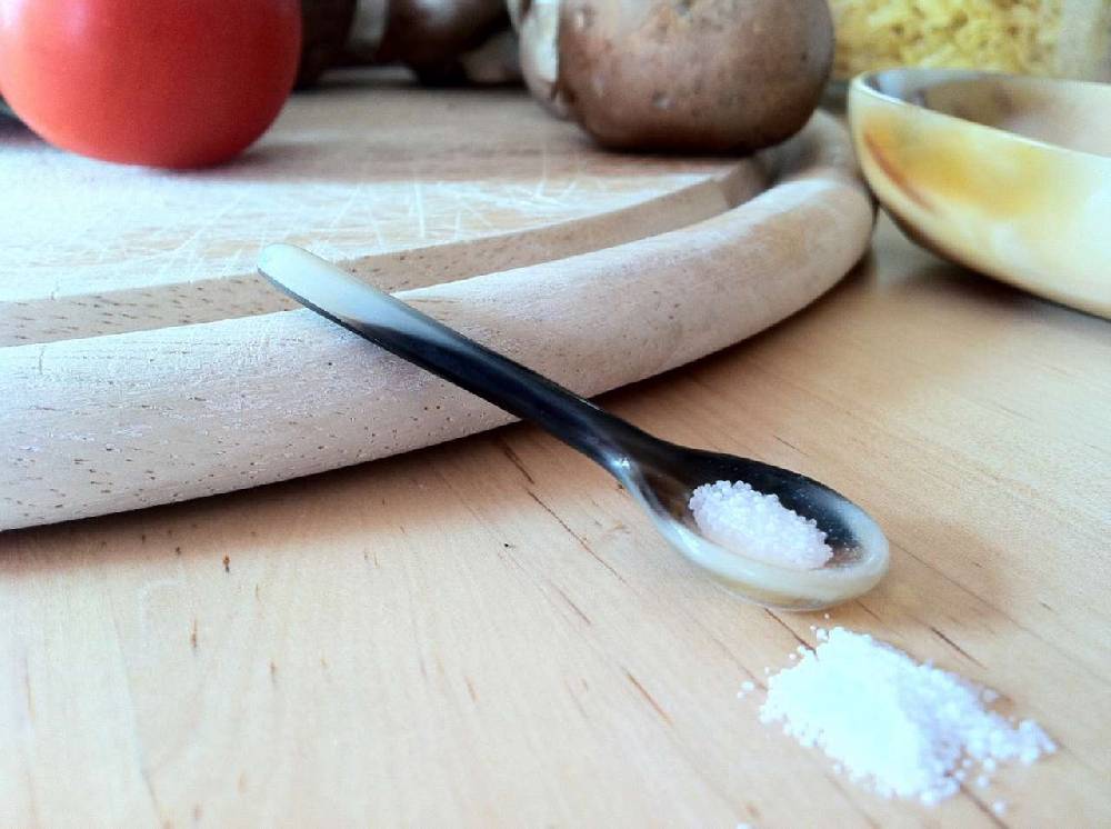 purenature Horn Salt Spoon Fabrikladen