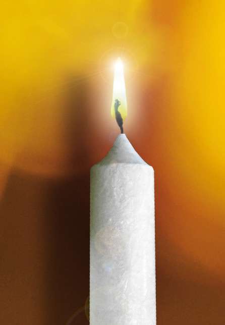 purenature Stearin Stick Candle (Set of 4) champagne Angebote