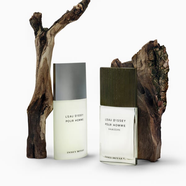 Issey Miyake L'Eau D'Issey Eau and Cèdre Eau de Toilette Intense 50ml Outlet