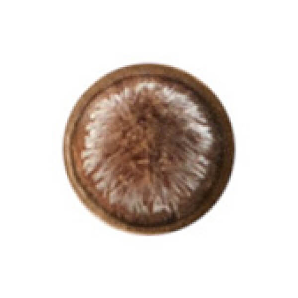 MAC 209 Eye Liner Brush Super Sparpreis
