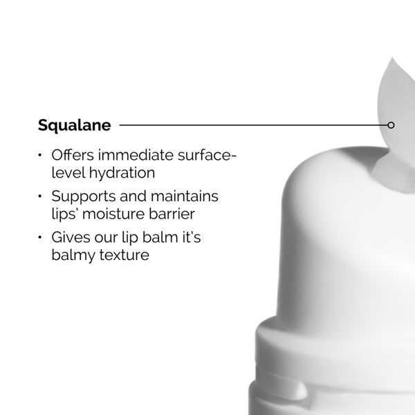 The Ordinary Squalane and Amino Acids Lip Balm 15ml Günstig kaufen