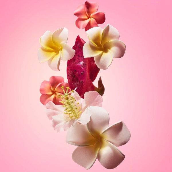 Sol de Janeiro Beija Flor Elasti-Cream 240ml Zeitbegrenzte Promotion