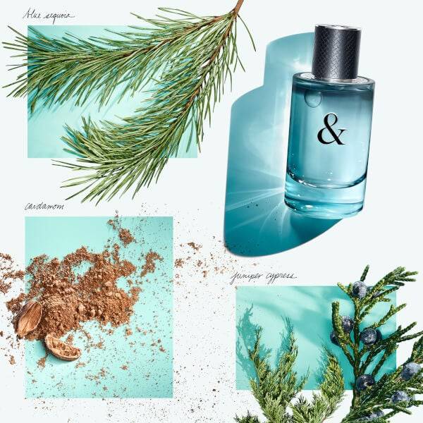Tiffany & Co. & Love for Him Eau de Toilette 50ml Letzte 3 Tage