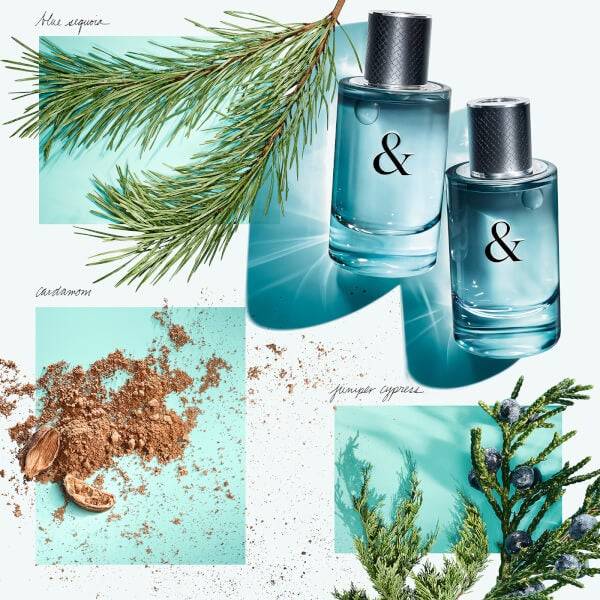 Tiffany & Co. & Love for Him Eau de Toilette 50ml Letzte 3 Tage