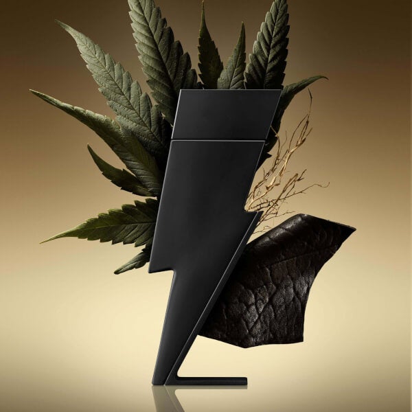 Carolina Herrera Bad Boy Eau de Parfum 100ml Neueste Mode