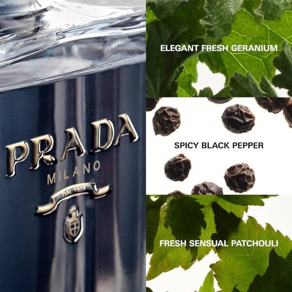 Prada L'Homme L'Eau de Toilette - 50ml Bis zu 55% Rabatt
