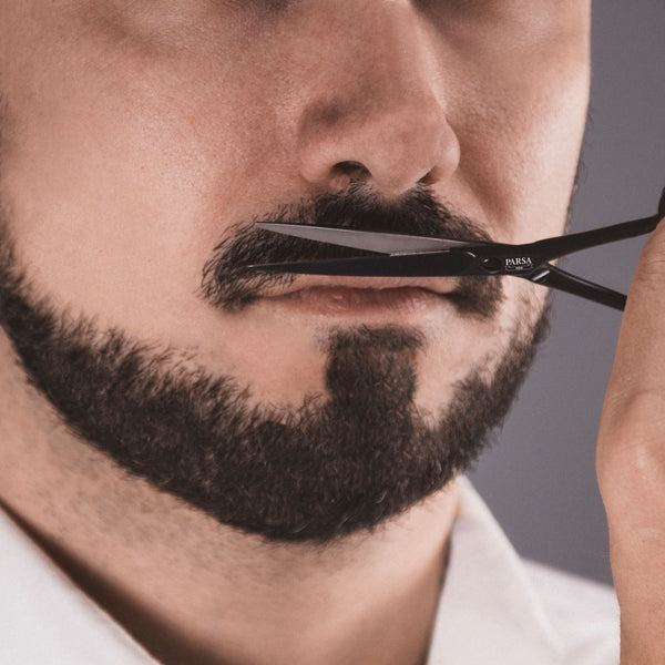 Parsa Beauty PARSA Men Bartpflege-Set 4-teilig JETZT KAUFEN