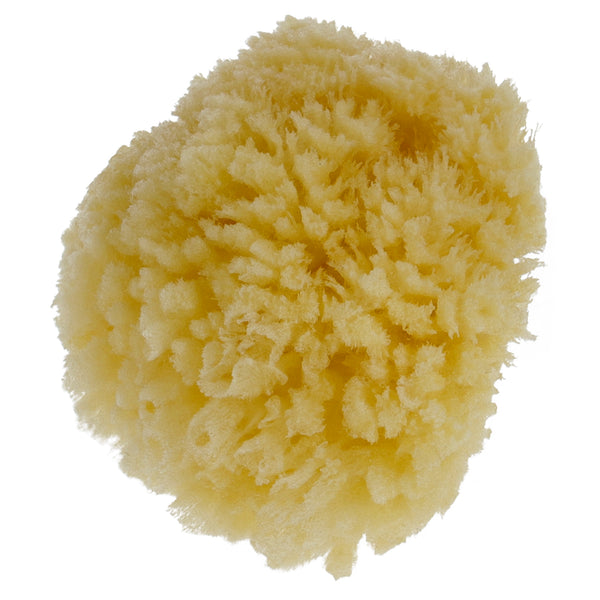 Parsa Beauty PARSA Baby Naturmeeresschwamm Mini Riesige Rabatte