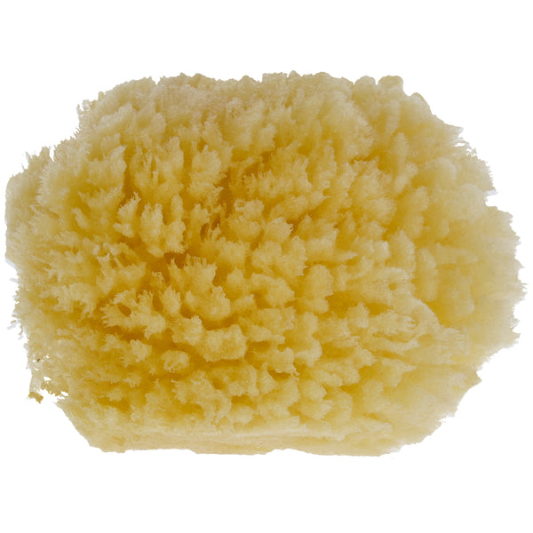 Parsa Beauty PARSA Baby Naturmeeresschwamm Mini Riesige Rabatte