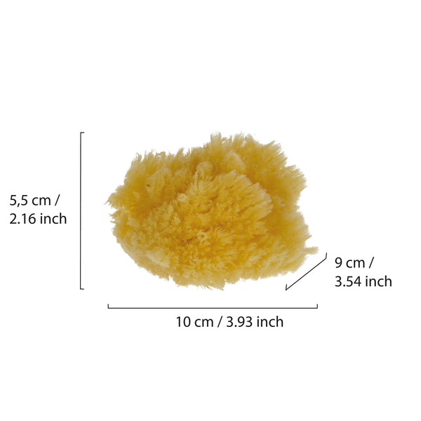 Parsa Beauty PARSA Baby Naturmeeresschwamm Mini Riesige Rabatte