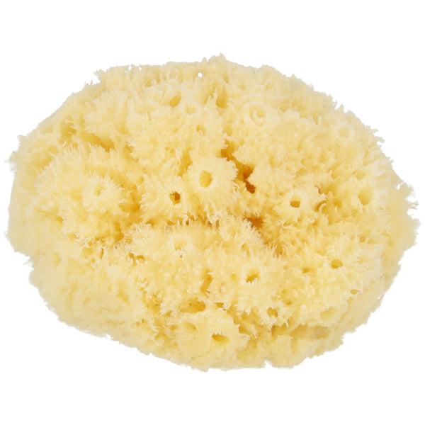 Parsa Beauty PARSA Baby Naturmeeresschwamm Mini Riesige Rabatte