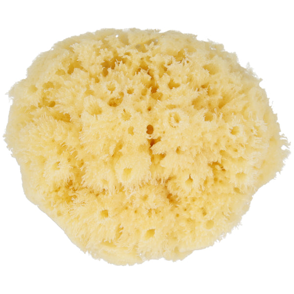 Parsa Beauty PARSA Baby Naturmeeresschwamm Mini Riesige Rabatte