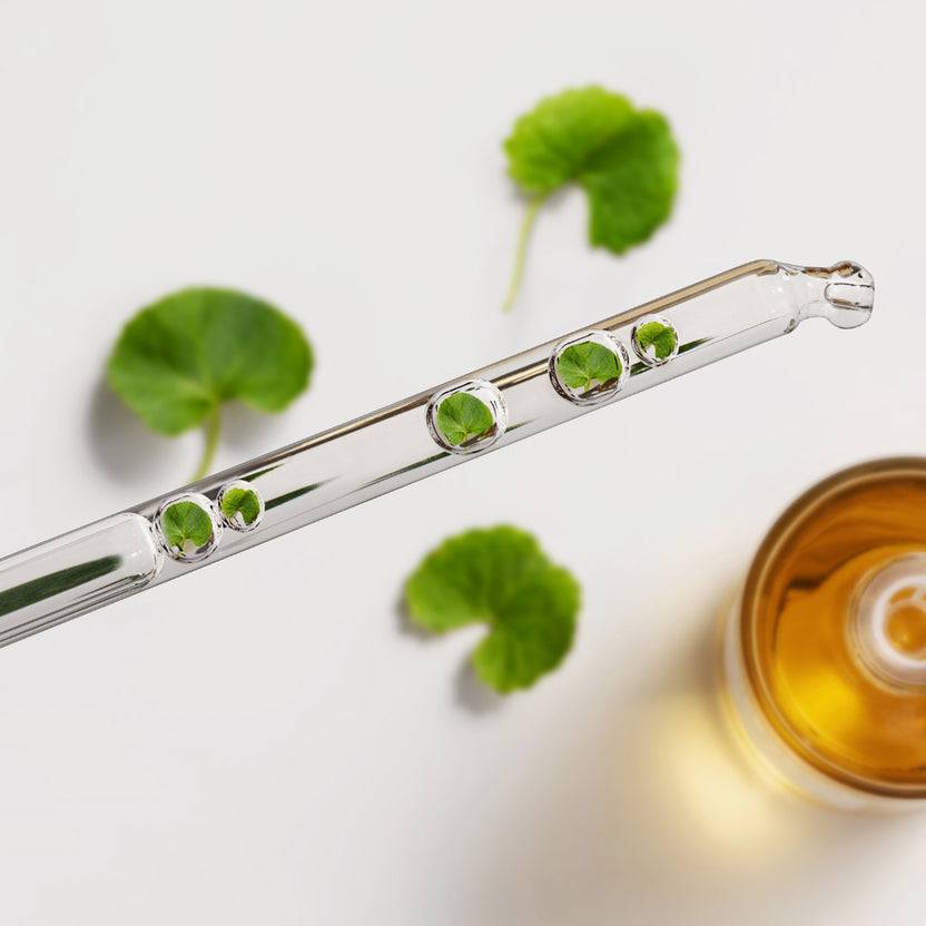 SKIN1004 Madagascar Centella Ampoule (100ml) Bis zu 55% Rabatt