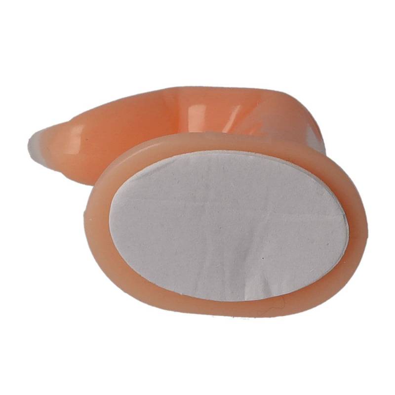 Sun Garden Nails Übungsfinger für Tips und Schablone Online Shopping