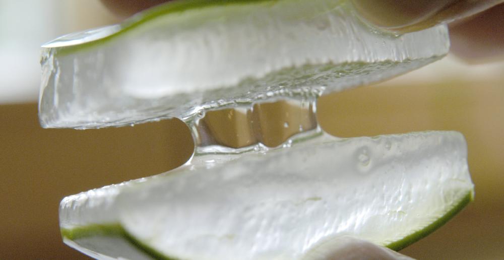Pharmos Natur Aloe Vera BioUrsaft Kurpackung 50% Rabatt mit kostenlosem Versand