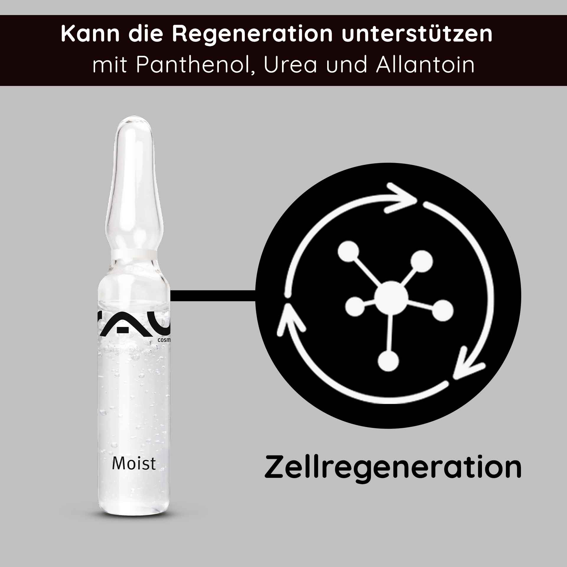 Rau Cosmetics Moist Ampullen 10x2 ml mit Hydrolite & Hyaluron Angebote